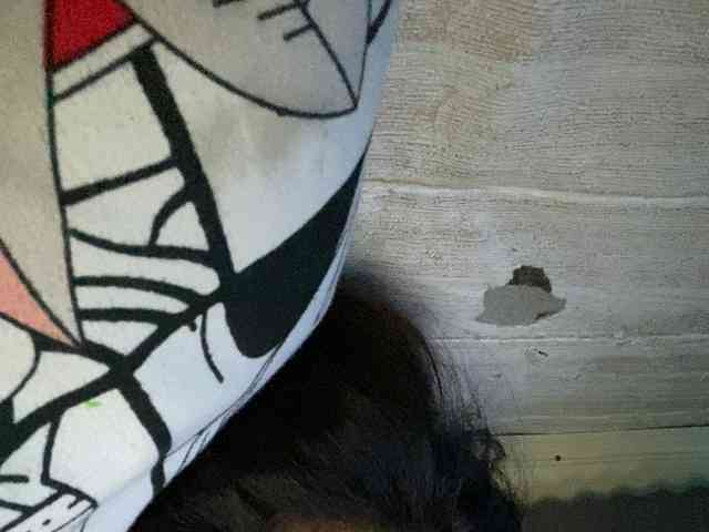 Rainie webcam