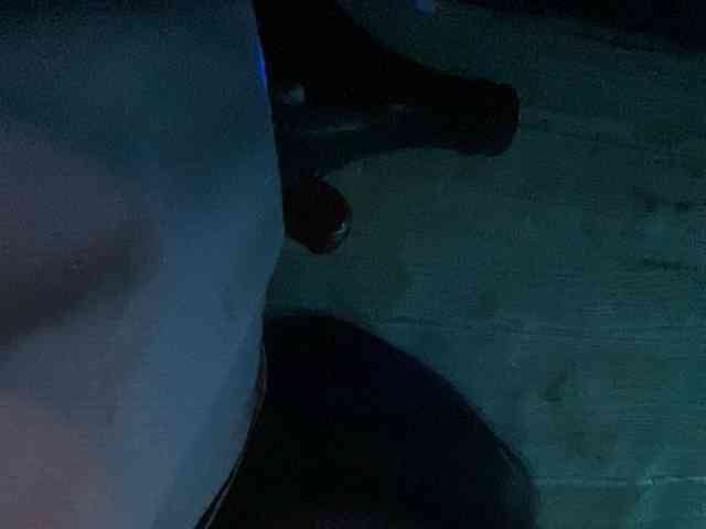 Rainie webcam
