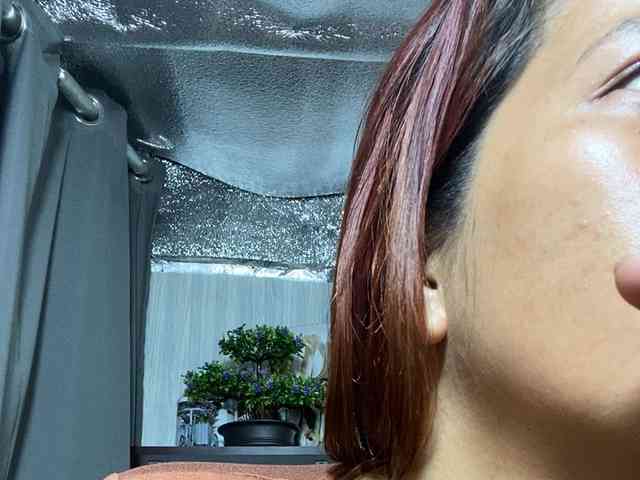 Rainie webcam