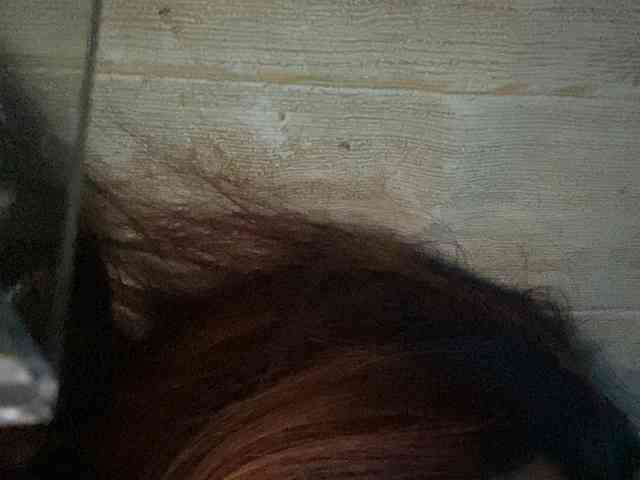 Rainie webcam