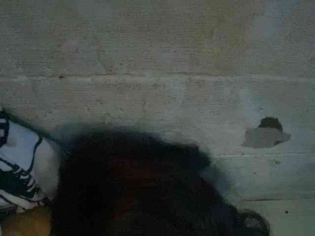 Rainie webcam