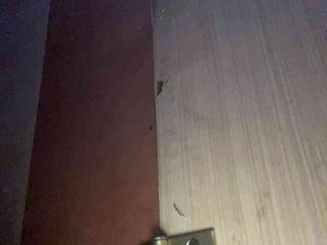 Rainie webcam
