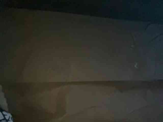 Rainie webcam