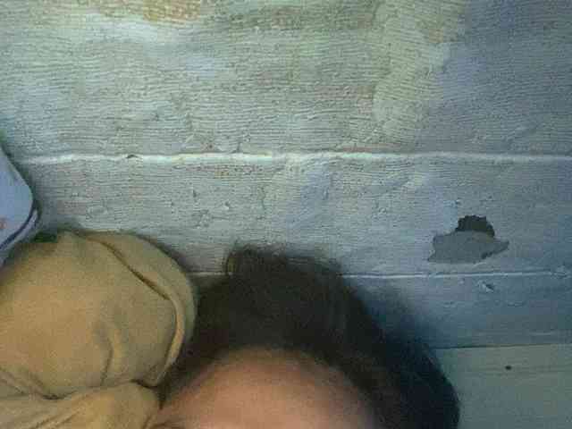Rainie webcam