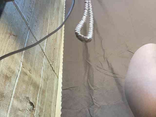 Rainie webcam