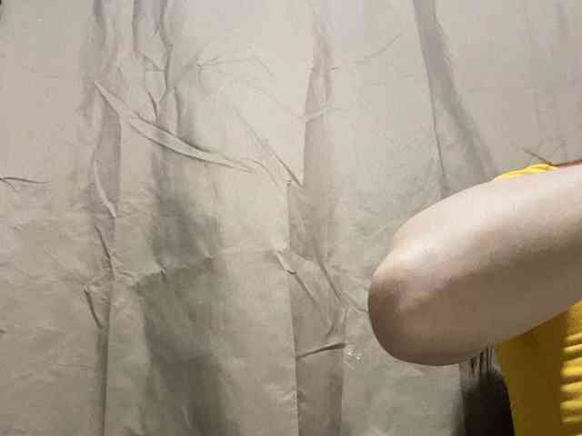 Rainie webcam