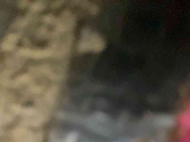 Rainie webcam