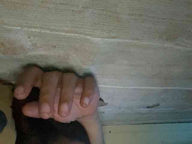 Rainie webcam