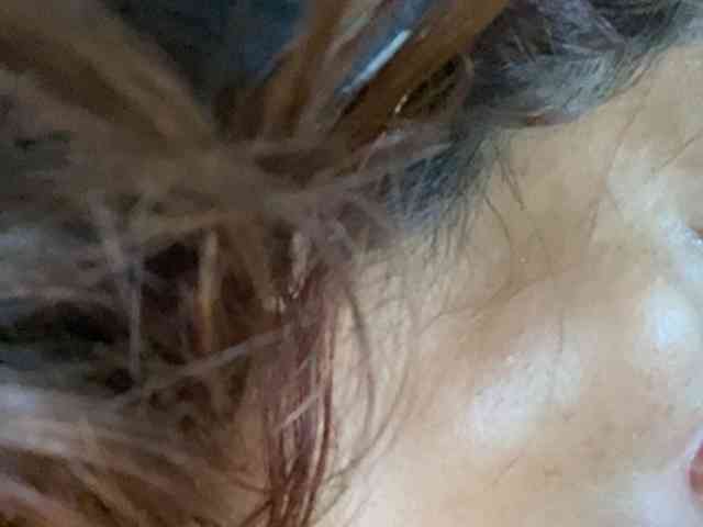 Rainie
