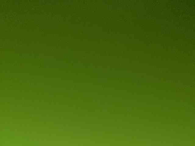 Rainie webcam