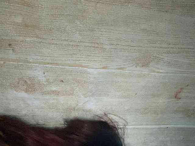 Rainie