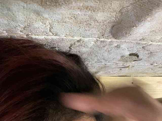 Rainie