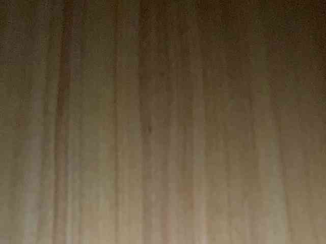 Rainie webcam
