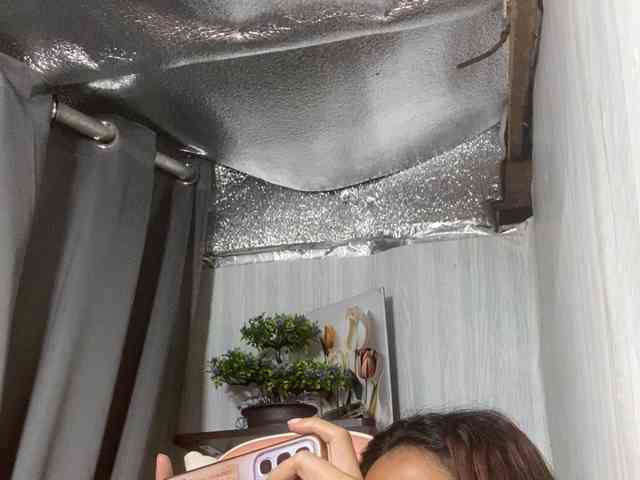 Rainie