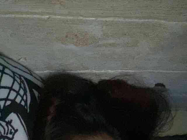 Rainie webcam