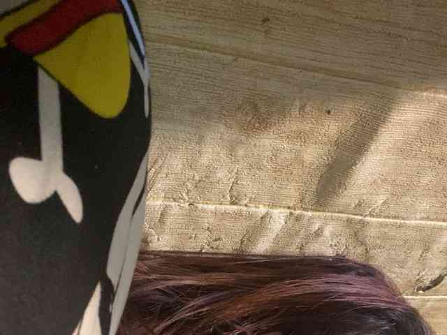 Rainie webcam