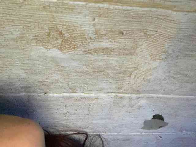Rainie webcam