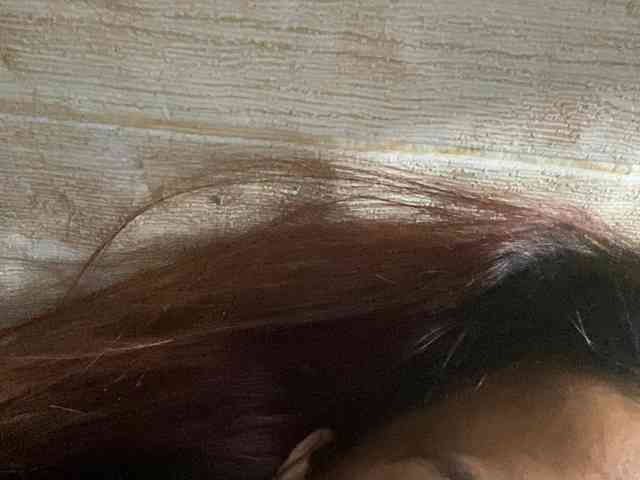 Rainie webcam
