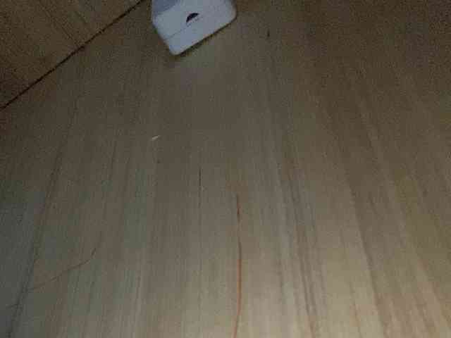 Rainie webcam