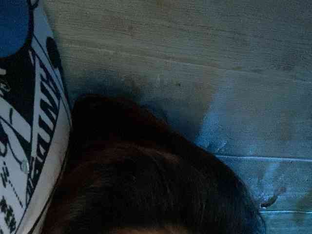 Rainie webcam