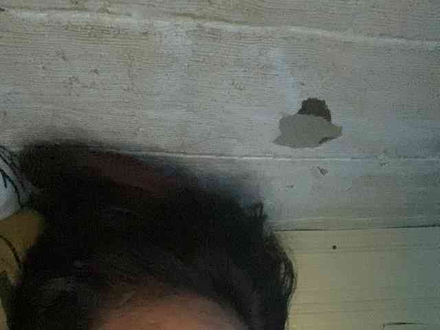 Rainie webcam