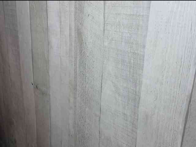 Rainie webcam