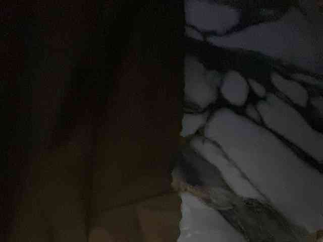 Rainie webcam