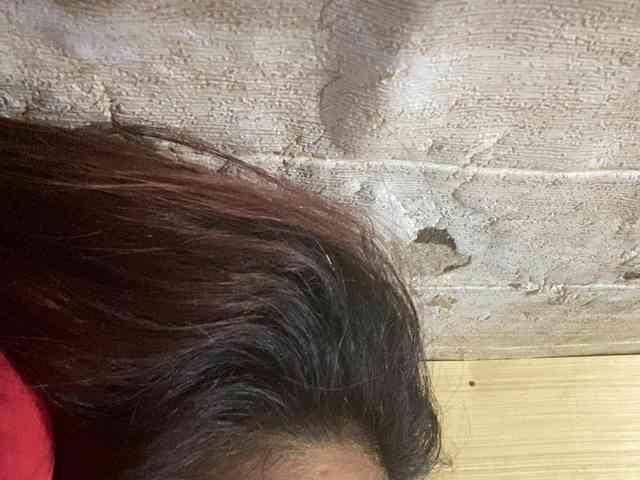 Rainie webcam