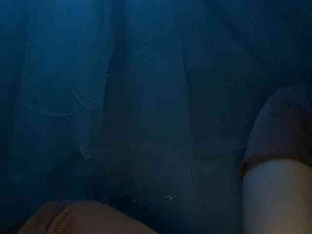 Rainie webcam