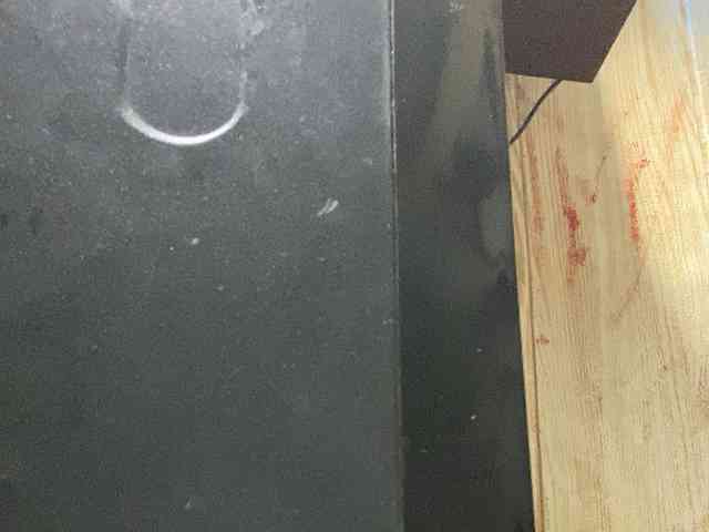 Rainie webcam