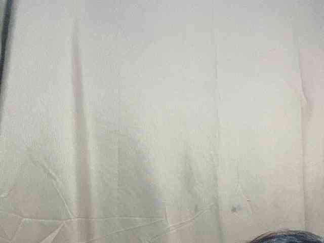 Rainie