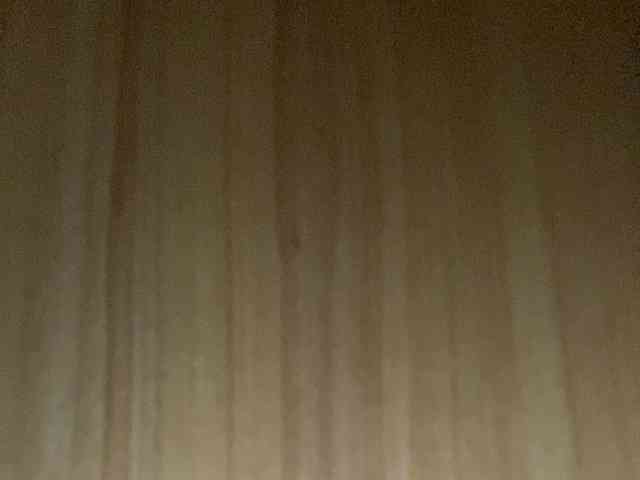 Rainie webcam