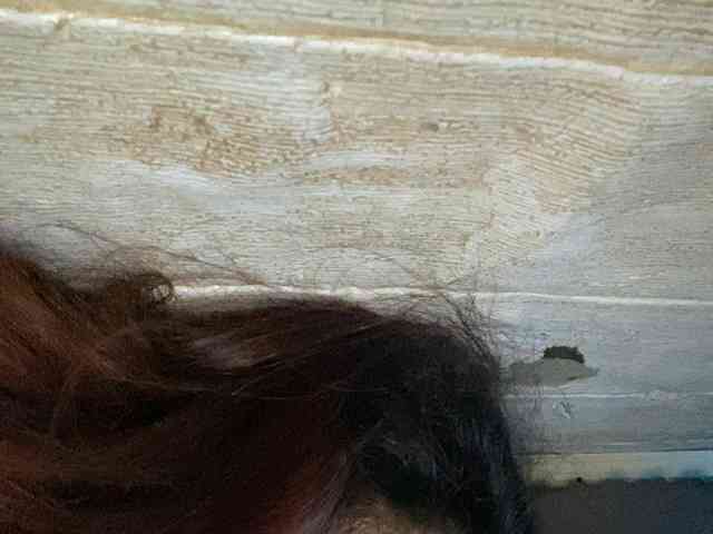 Rainie webcam