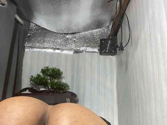 Rainie webcam