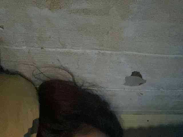 Rainie webcam