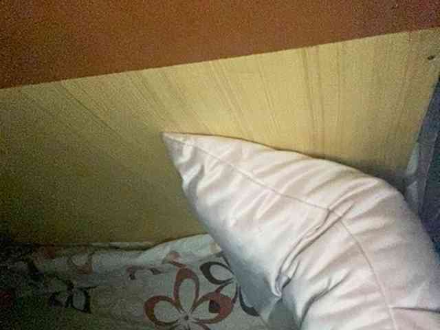 Rainie webcam