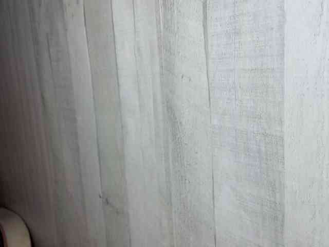 Rainie webcam