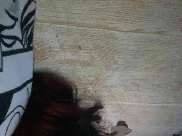 Rainie webcam