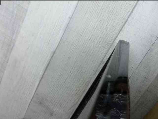 Rainie webcam