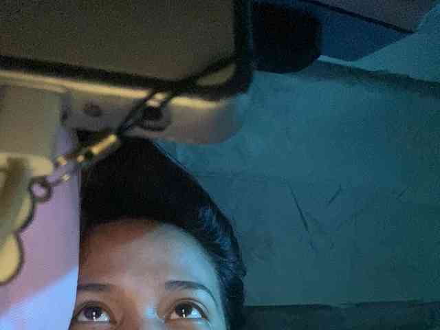 Rainie webcam