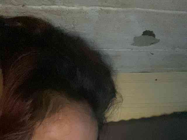 Rainie webcam