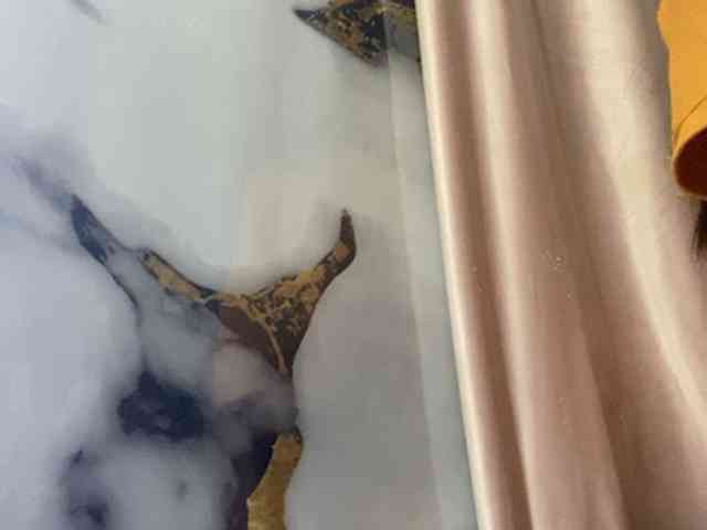 Rainie webcam