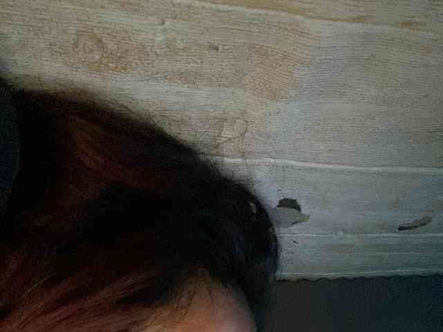 Rainie webcam