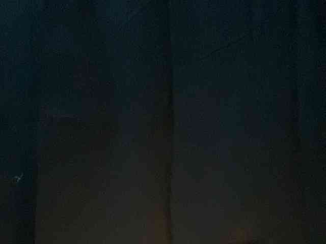 Rainie webcam