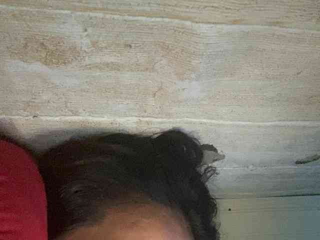 Rainie webcam