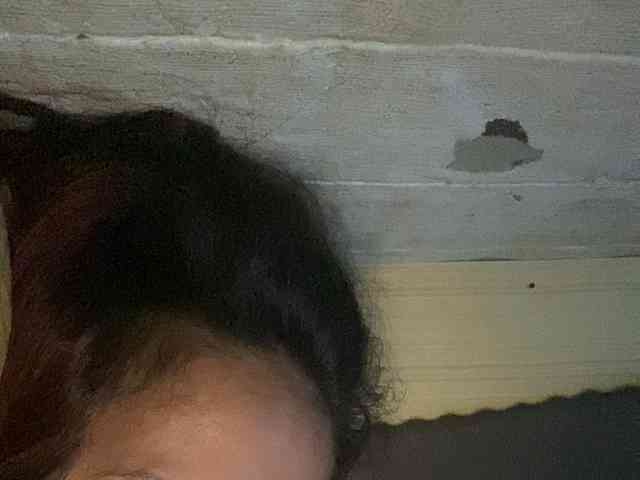 Rainie webcam