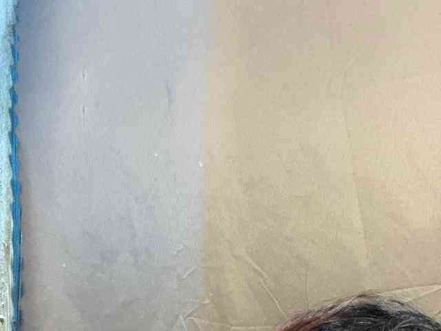 Rainie webcam
