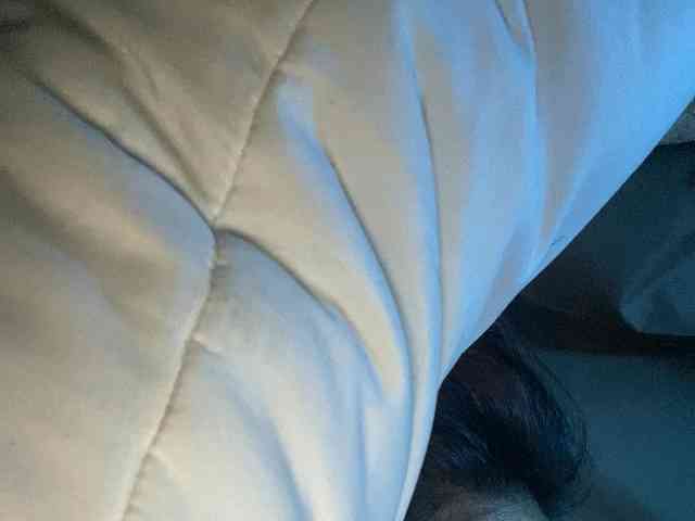 Rainie webcam