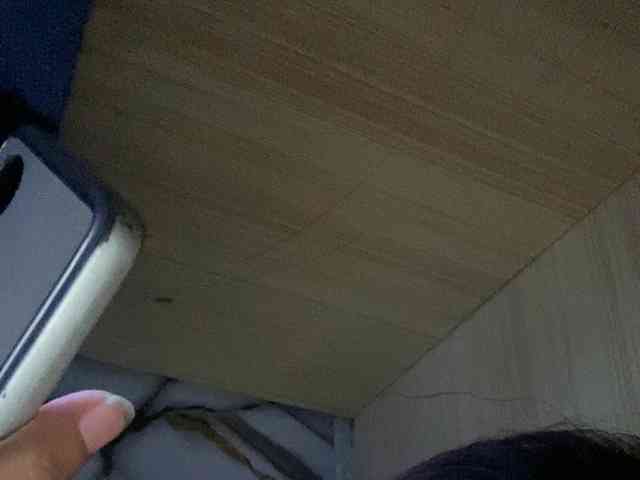 Rainie webcam