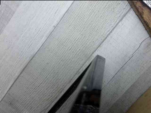 Rainie webcam